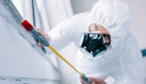 Best Pest Control for Restaurants and Food Service  in Shields, MI